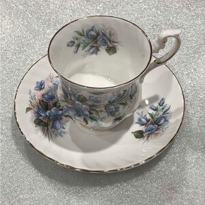 VTG Queen’s “Rosina” Forget-Me-Not Teacup & Saucer.